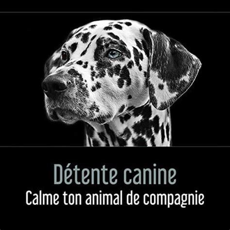 Amazon Music Various artistsのDétente canine Calme ton animal de