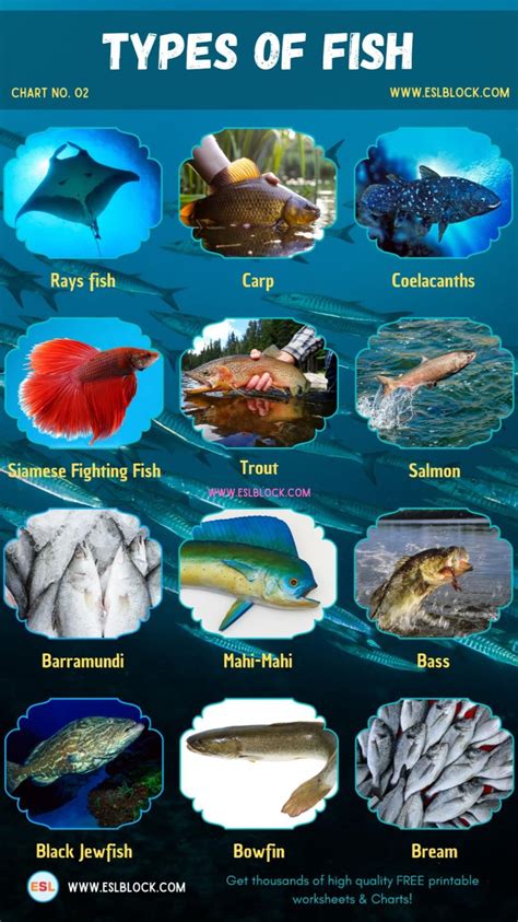 List of fish types of fish with interesting facts and pictures – Artofit