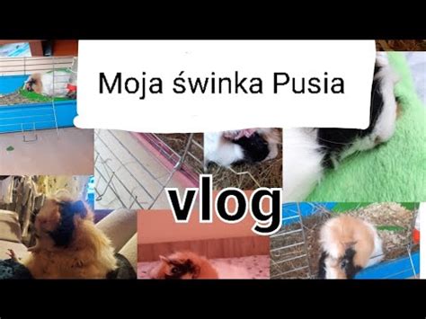 Moja Winka Morska Pusia Youtube