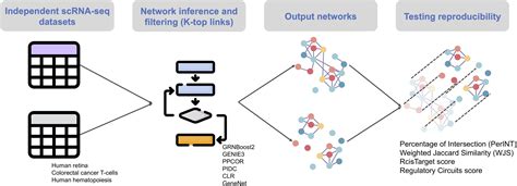 Frontiers Evaluating The Reproducibility Of Single Cell Gene