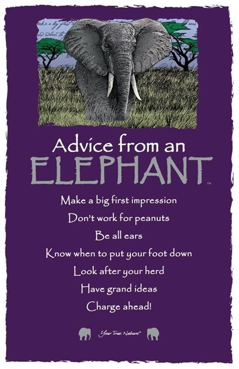 Elephant Quotes Inspiring Mighty Thoughts Artofit