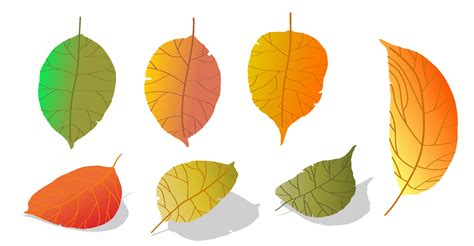 doodle gradient apple tree leaves isolated on white background. Autumn ...