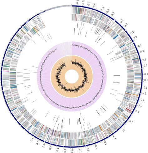 Circos Plot A Circular Graphical Display Of The Distribution Of The