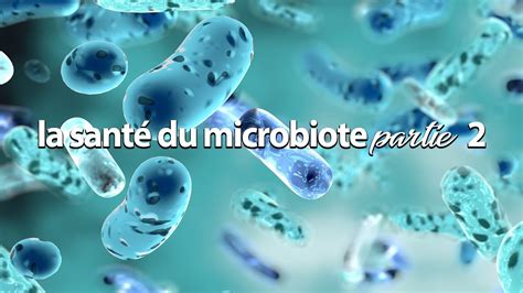 Soignez Vous Avec Caroline Mailloux La Sant Du Microbiote Partie