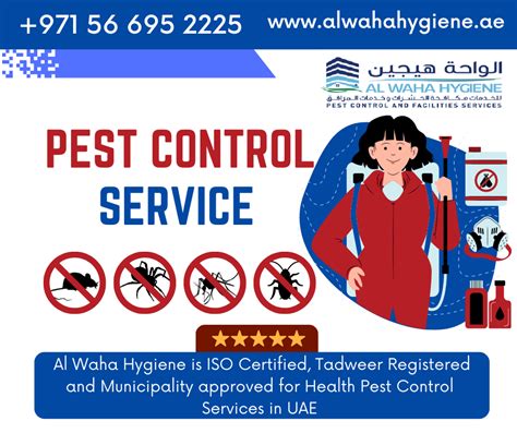 Defending Your Home Abu Dhabi S Most Effective Pest Control Services Al Waha Hygiene