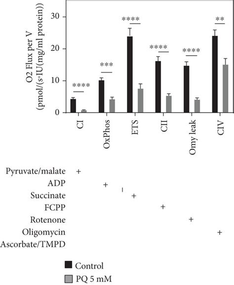 A Mitochondrial Membrane Potential ΔΨm Over 130 Minutes Assessed By Download Scientific