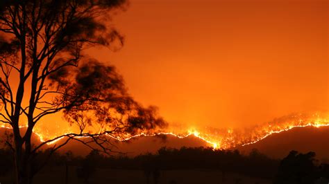 Incendi In Australia WWF Italia Impegno Enorme Per Ricostruire Gli