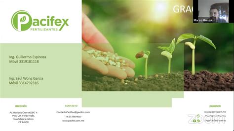 Webinar Intro Pacifex Fertilizantes Youtube