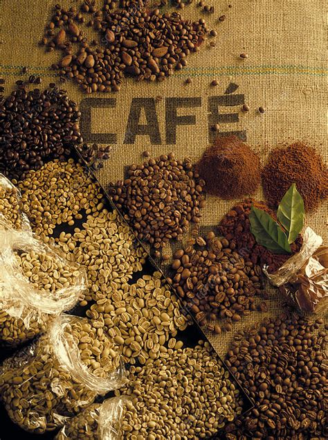 Assorted Coffee Beans Stock Image H1102074 Science Photo Library