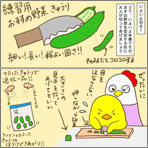 怪我をする前に見て欲しい、子ども包丁の使い方 Harunohoikuが投稿したフォトブック Lemon8