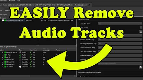 How To Remove Audio Track From Video With Multiple Audios How To