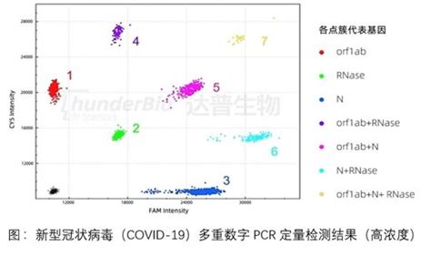 数字pcr之：多重定量检测 日本和光纯药wako