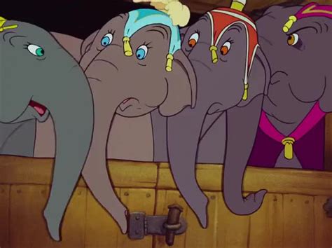 Dumbo Catty