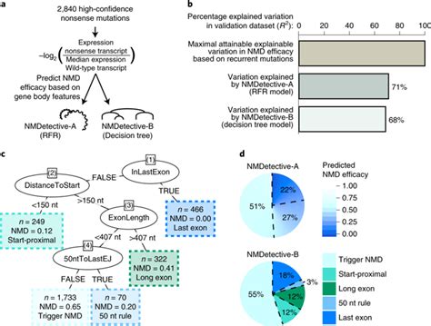 The Impact Of Nonsense Mediated Mrna Decay On Genetic Disease Gene