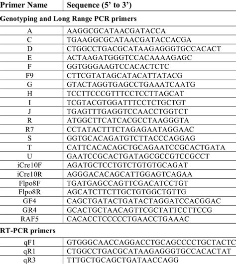 List Of Primers Used In This Study All Primer Sequences Listed To