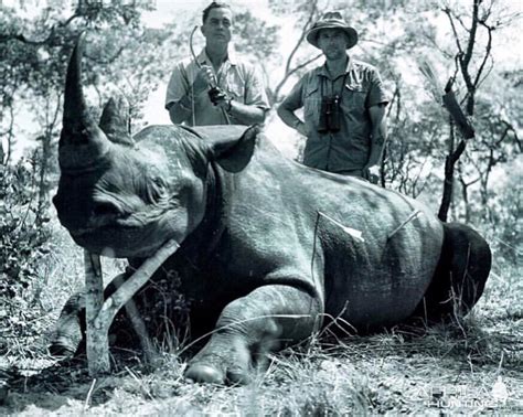 Black Rhino Hunt | AfricaHunting.com