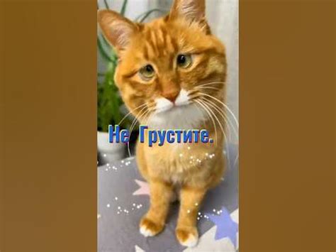 #длядуши #пожелание #всехблаг - YouTube