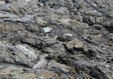 Coastal Rock Background Stock Photo Image Of Geology