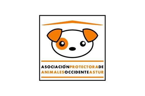 Protectora De Animales Occidente Astur Grupo Teaming