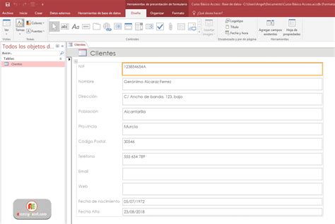 Microsoft Access Curso B Sico Clientes Desarrollando El Formulario