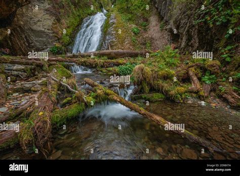 Waterfalls Of Lake Teletskoye Altai Mountains Russia Stock Photo Alamy