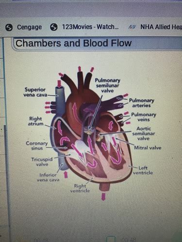 Ekg Self Study Guide Flashcards Quizlet