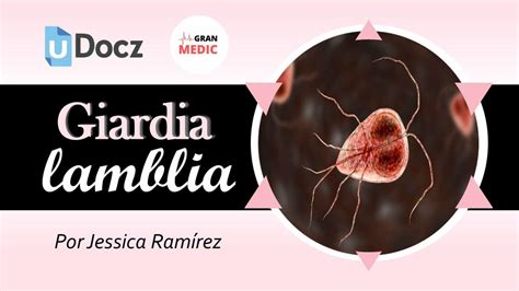 Giardia Lamblia Giardiasis Gran Medic Udocz