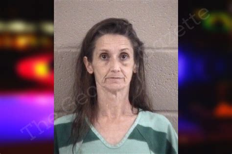 Bridget Dalton Whitfield County Jail Bookings