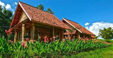 Kebun Mawar Situhapa Garut Indonesië Fotos En Reviews Tripadvisor