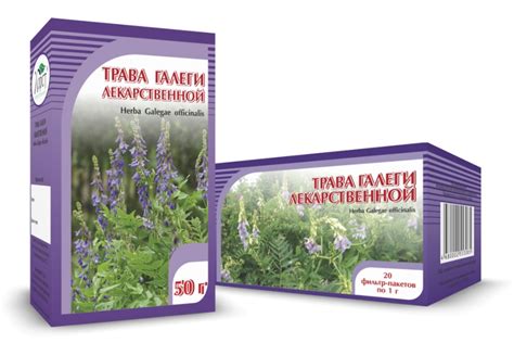 Компания ХОРСТ - ГАЛЕГА лекарственная, трава
