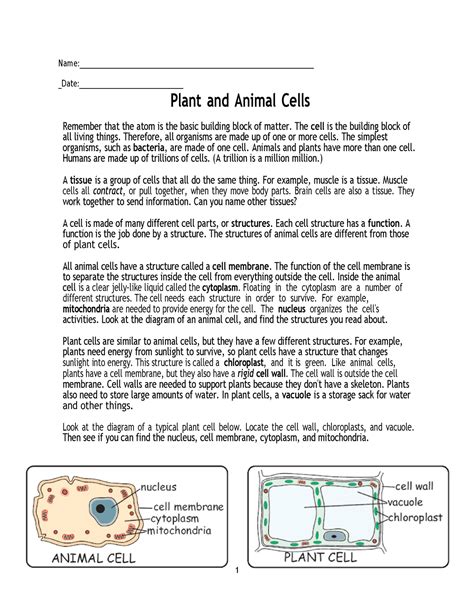 Science Reading Comprehension Plant Animal Cells 1 1 Studocu