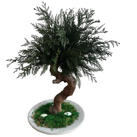 Preserved green Thuya bonsai - Preservedusa Preserved green Thuya bonsai