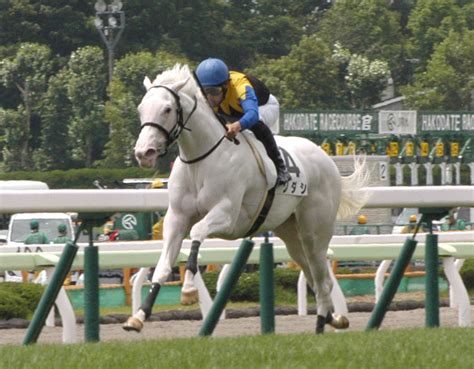 【函館5r・2歳新馬】話題のソダシがデビューv白毛の新馬勝ちは3頭目で芝は初勝利 Umatoku 馬トク