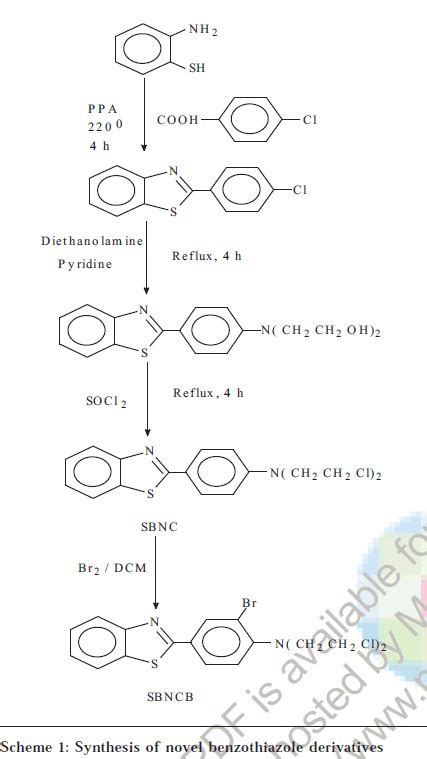 Synthesis And Evaluation Of Novel Benzothiazole Derivatives Against