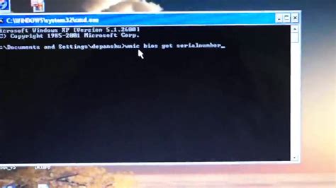 How To Find Your Computers Serial Number Computer Basics Youtube