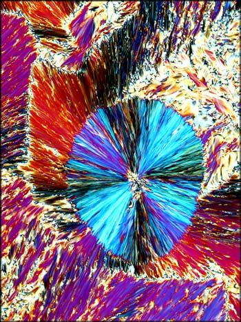 A Gallery Of Liquid Crystal Photomicrographs