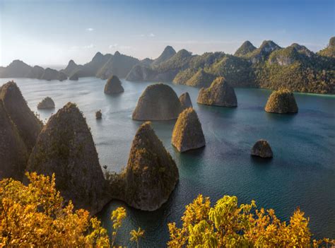 Wisata Raja Ampat Destinasi Wajib Dikunjungi Di