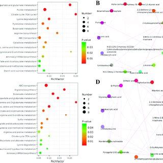 KEGG Pathway Enrichment Analysis Of Differential Metabolism After