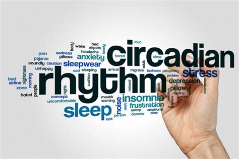 Everything You Need To Know About The Circadian Rhythm Diet - Ozzie ...