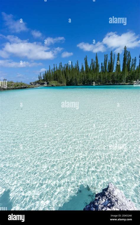 Beautiful Seascape Of Natural Swimming Pool Of Oro Bay Isle Of Pines