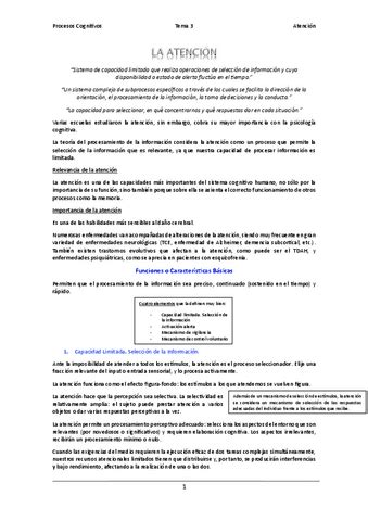 Tema 3 Atencion Pdf