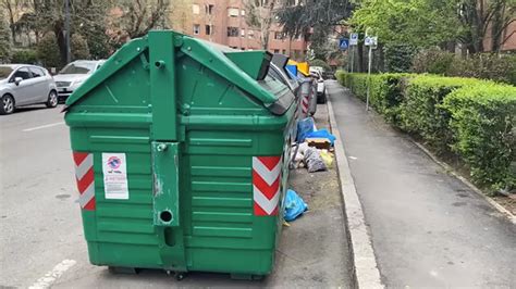 Rifiuti Abbandonati A Bologna In Campo Le Guardie Ambientali étv Rete 7