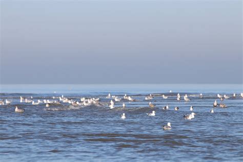 Westlanders Nu On Twitter Goedemorgen Zondag Begint Bewolkt Met 7 9