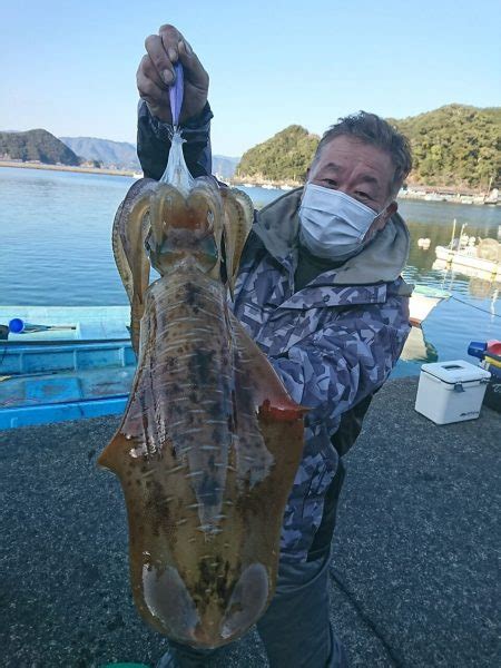 筏マルキ 釣果 三重県 島勝～船越 ヤエン アオリイカ 陸っぱり 釣り・魚釣り 釣果情報サイト カンパリ