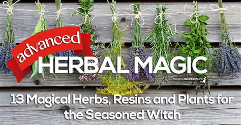 Advanced Herbal Magic For Everyone Discover The Magical Properties Of