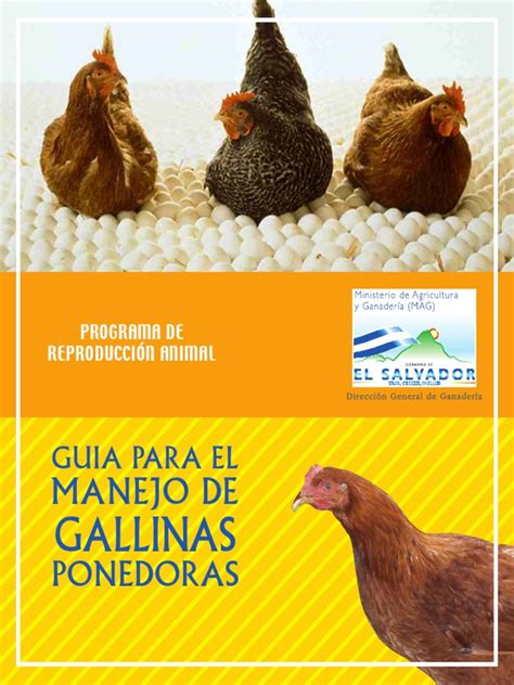 Guía Para El Manejo De Gallinas Ponedoraspdf Aves Pollo