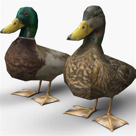 3d Model Ducks Vr Ar Low Poly Cgtrader