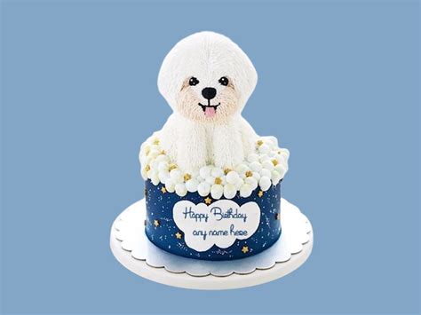 Get Your Bobble Head Dog Cake Today Cutepetbakery