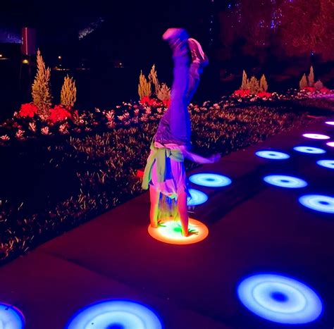 Dazzling Nights Returns to Leu Gardens For a New 2021 Adventure ...