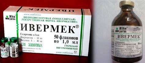 Инструкция по применению препарата ивермек в ветеринарии: для собак и ...
